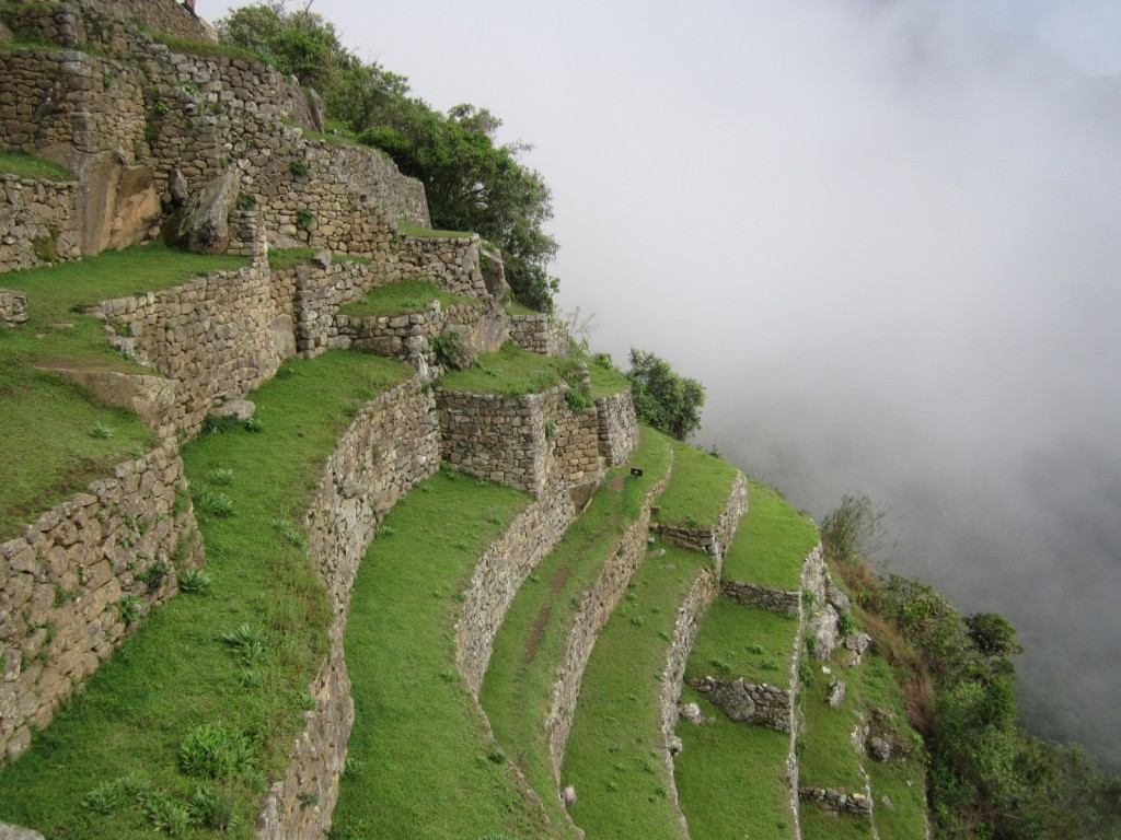 Agricultural terraces at Machu Picchu