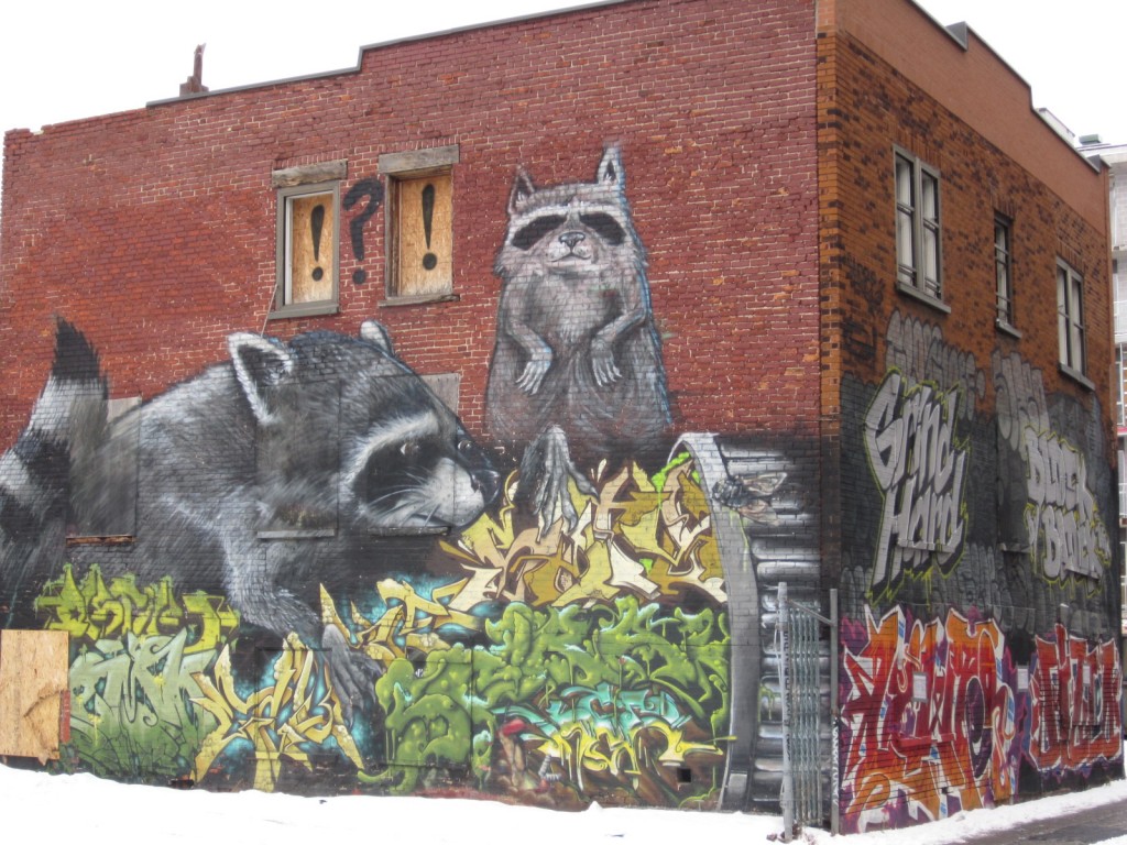 Where else can you find a two-story raccoon? 