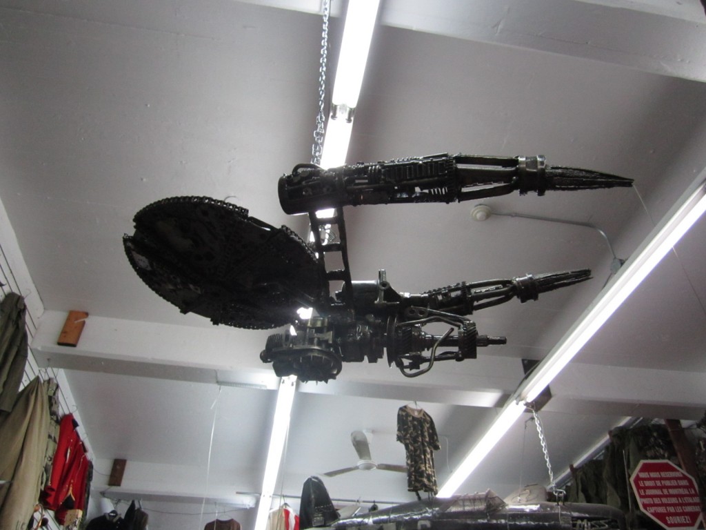 The Starship Enterprise: Art boldly goes where it has never gone before ... 