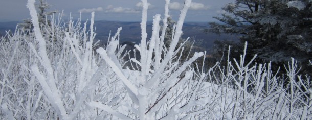 The Weekly Worldview: Winter clings to the summit of Mt. Greylock