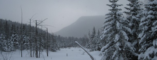 The Weekly Worldview: On the way to Zealand Falls