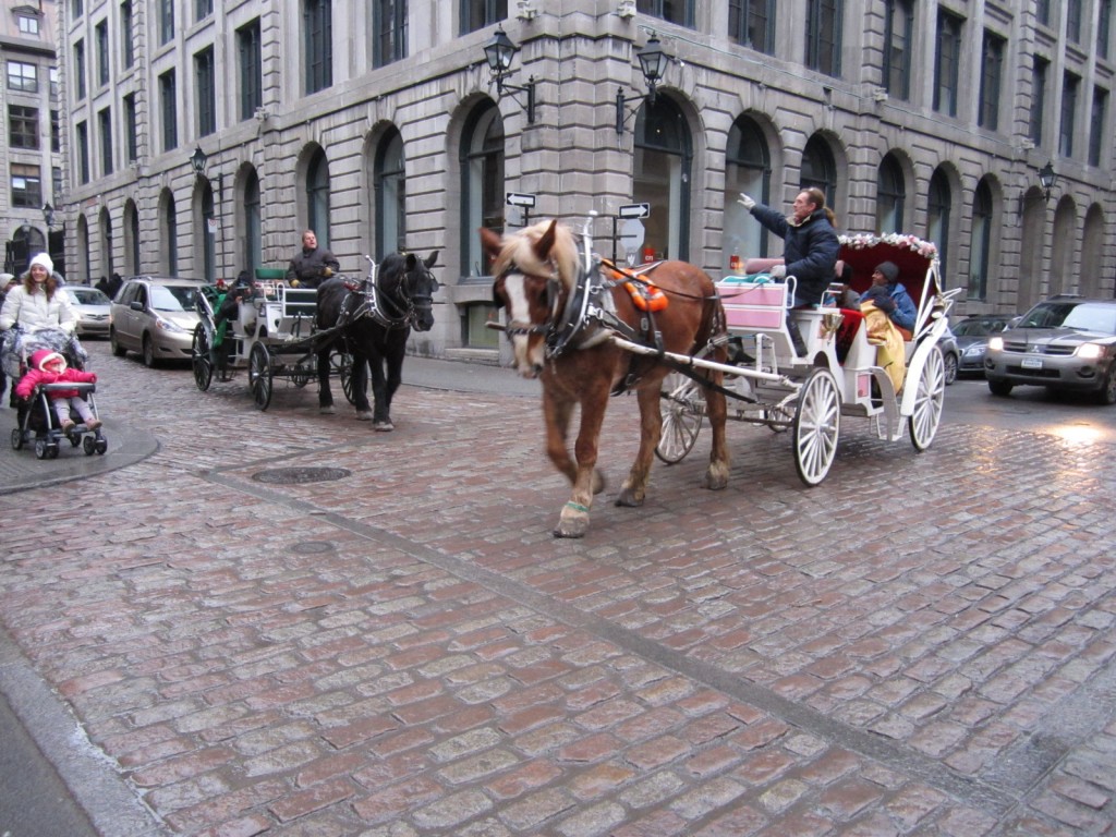 Take a horse-drawn carriage ride through Vieux Motreal (Old Montreal)