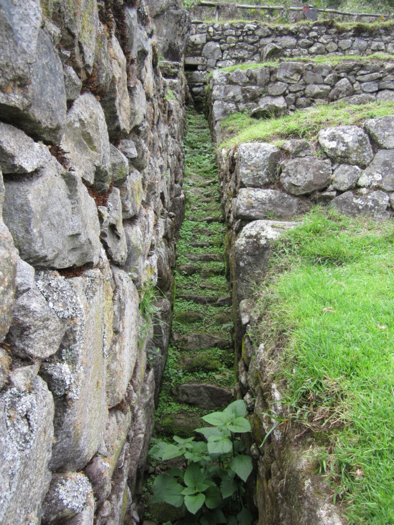 The ruins at Machu Picchu