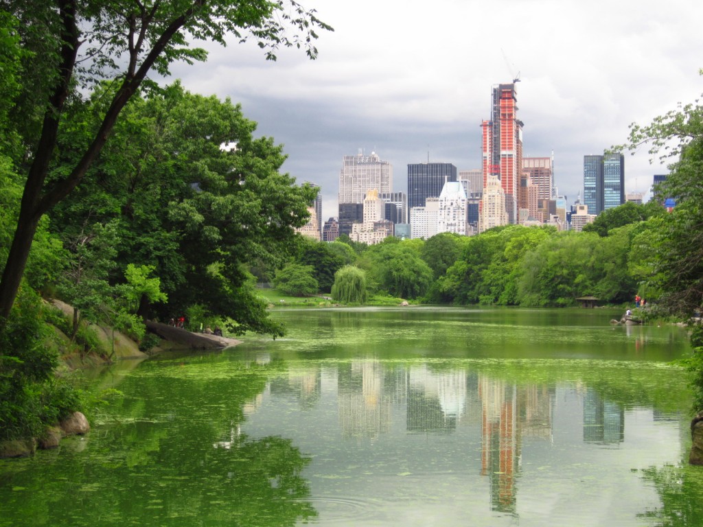 The Lake in Central Park; New York City