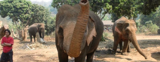 Tips for traveling around Thailand