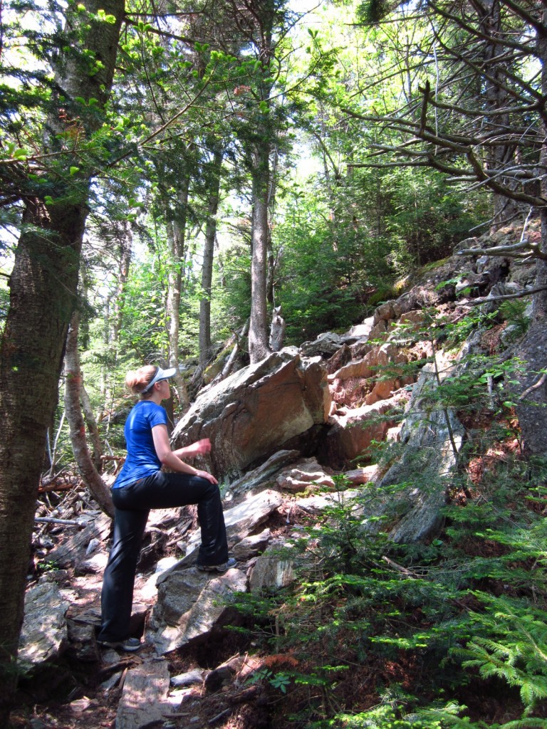 Vermont Long Trail Camel's Hump hike