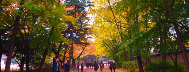 Our favorite travel articles from 2012